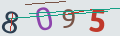 verifycode